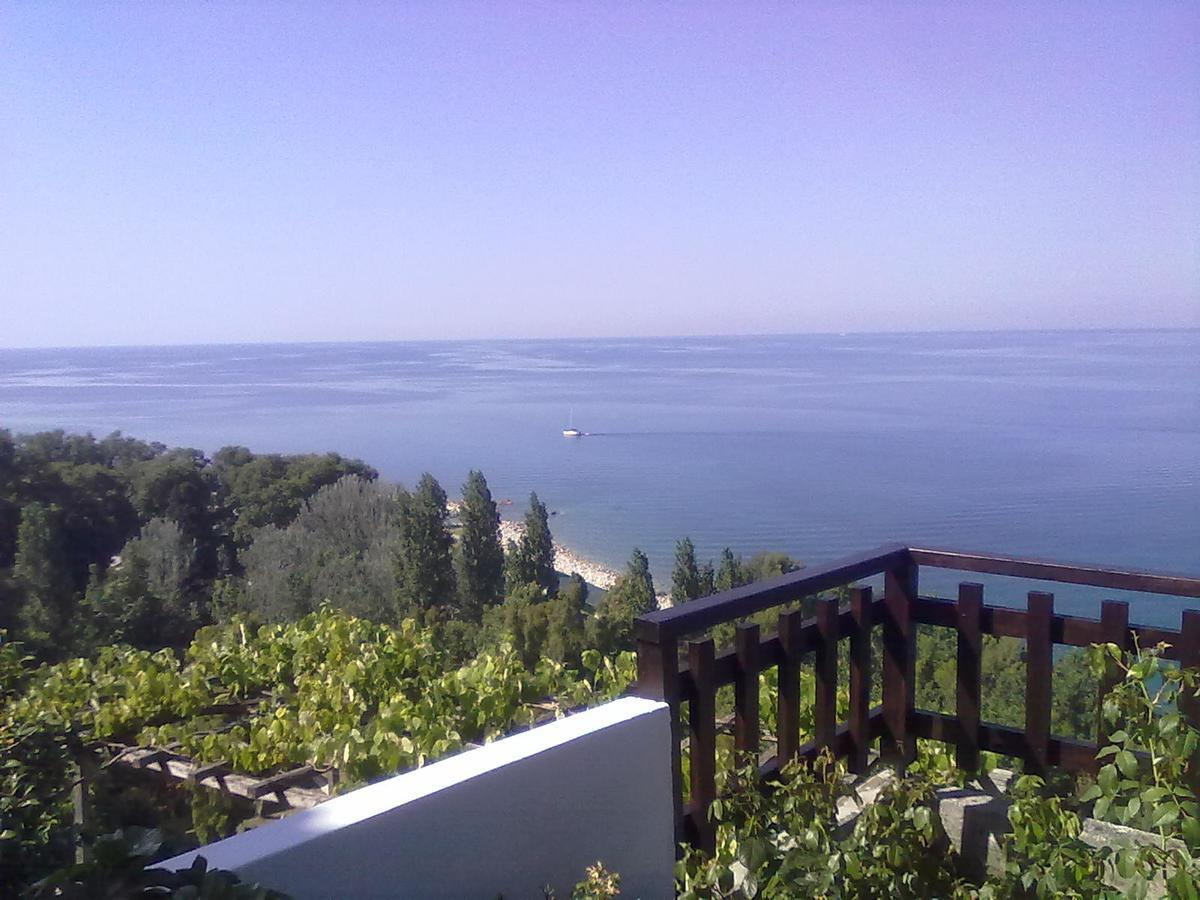 Pelion Orama Apartman Agios Ioannis  Kültér fotó