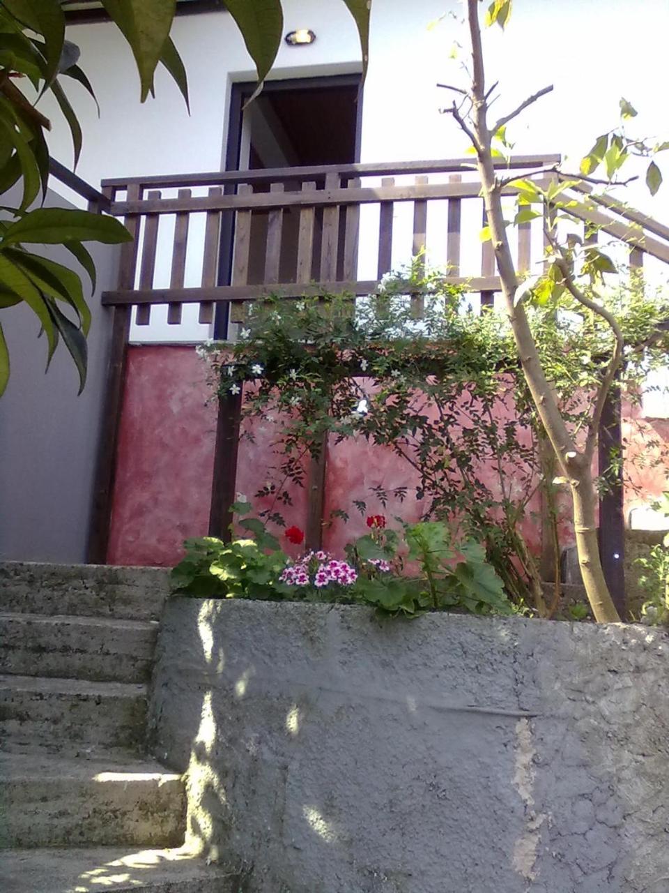 Pelion Orama Apartman Agios Ioannis  Kültér fotó
